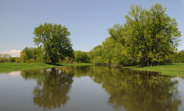 Photo Lac Saint-Pierre reserve