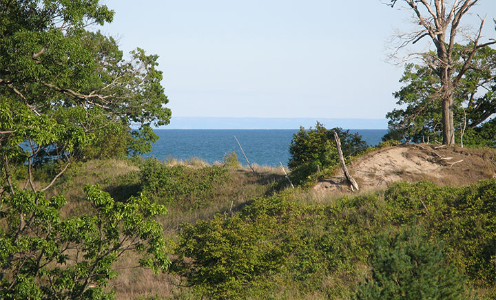 Photo Long Point reserve
