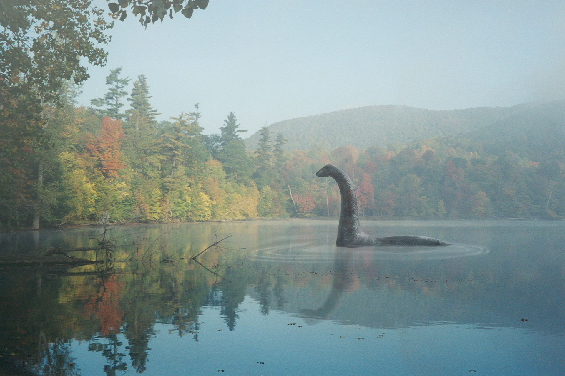 Monstre du lac au milieu du lac Hertel en automne